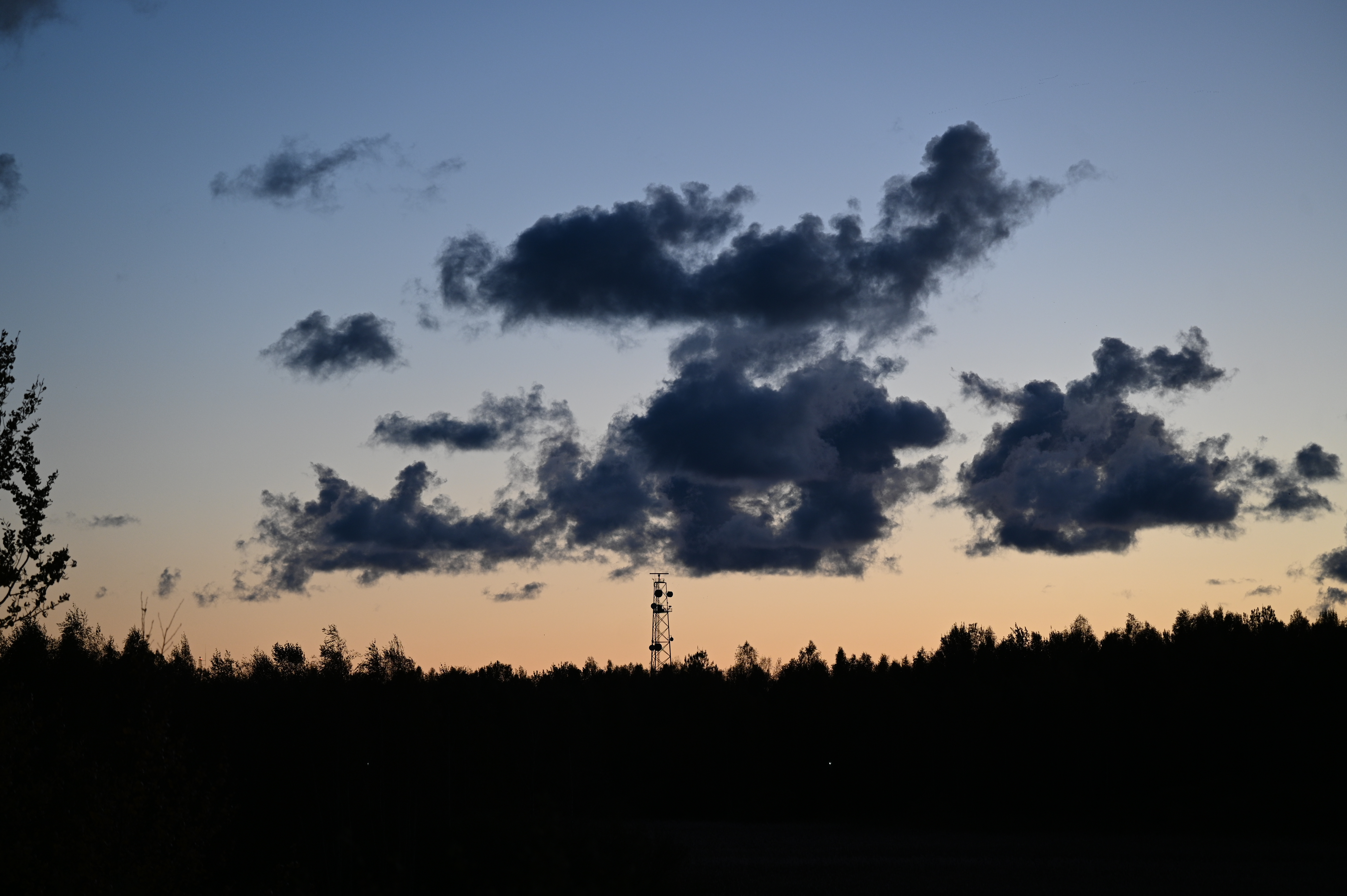 2025/10/18 - walk/DSC_0626.JPG